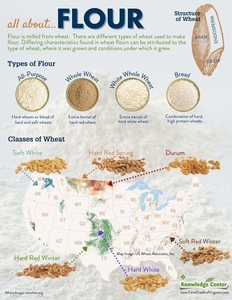 Learn all about...FLOUR with this Knowledge Center blog. Perfect for classroom learning! Learn about the structure of wheat, different types of wheat, the milling process and the different types of flour. How To Mill Wheat, How To Grow Wheat For Flour, Growing Wheat For Flour, How To Mill Flour, Milling Flour At Home, Wheat Garden, Milling Flour, Bread Beckers, Different Types Of Flour