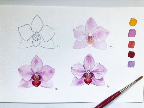 1,655 Likes, 27 Comments - Pelin (@pelinkan_) on Instagram: “• How to paint a basic orchid 🌸 • #orchidee #orchideen #aquarellepainting #watercolor” Orchids Watercolor, Orchid Centerpieces Wedding, Hur Man Ritar Blommor, Orchid Flower Tattoos, Orchid Watercolor, Orchid Illustration, Orchid Terrarium, Orchid Drawing, Orchid Wallpaper