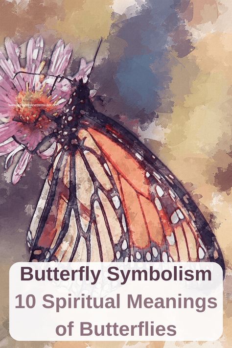 Butterfly Types And Meanings, Meaning Of A Butterfly, Hawk Symbolism, Spiritual Animals, Butterfly Symbolism, Butterfly Meaning, Spirit Animal Meaning, Hindu Symbols, Animal Meanings