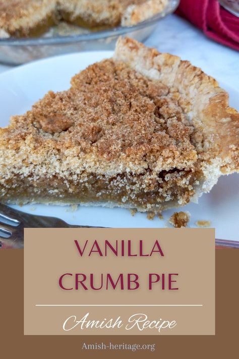 9" Vanilla pie with missing piece and a slice of pie on a plate. Dutch Pie Recipes, Amish Cream Pie, Vanilla Bean Pie, Sugar Cream Pie Recipe Indiana Amish, Old Pie Recipes, Old Fashion Pies, Amish Pie Recipes, Old Fashioned Pies, Vanilla Pie Recipe