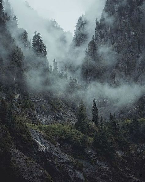 Folk Scenery on Instagram: “💚 Which one is your favorite! Photo by @shreddin_kevin #folkscenery Follow us @folkscenery for more!” Scandinavian Landscape, Dragon Story, Dark Mountains, Dark Naturalism, Dark Forest Aesthetic, Mountain Aesthetic, Mountains Aesthetic, Cold Mountain, Foggy Mountains