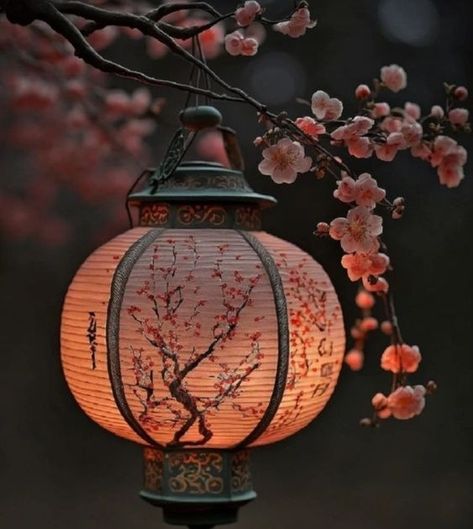 ♔ Lanternes Orientales Lampion Aesthetic, Lantern Aesthetic, Asian Lamps, Lantern Art, Japanese Lantern, Chinese Aesthetic, Japanese Lanterns, Timeless Decor, Japan Aesthetic