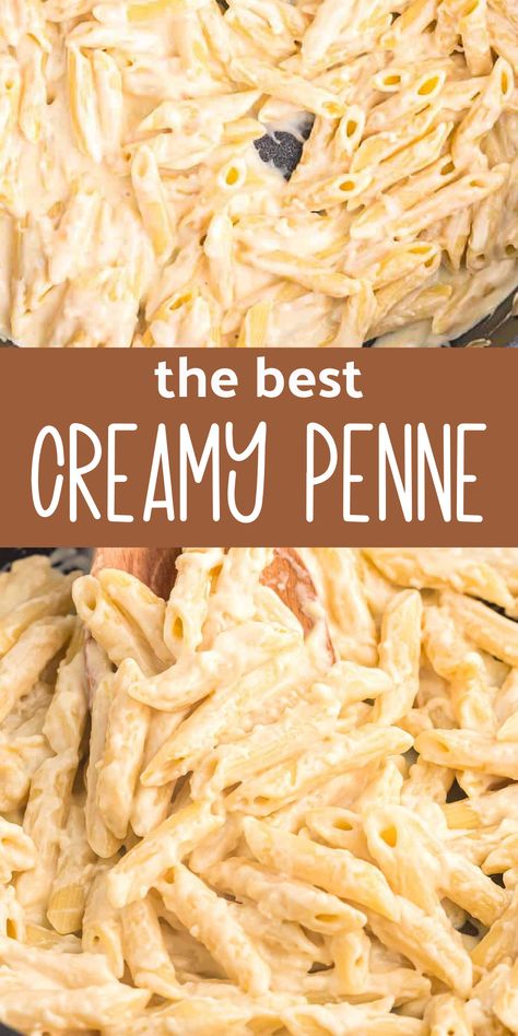 Creamy penne pasta makes the best easy dinner! This delicious penne recipe is always a family favorite. Creamy Penne Pasta Recipes, Cheesy Penne Pasta, Easy Penne Pasta Recipes, Creamy Penne Pasta, Carbonara Pasta Creamy, Chicken Penne Recipes, Meat Pasta Recipes, Quick Pasta Sauce, Baked Penne Pasta