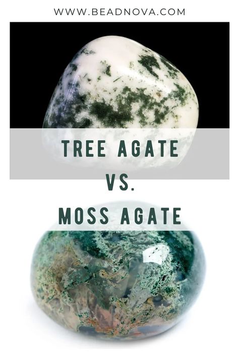 The main visual difference between tree and moss agate is transparency. Second, as their names suggest, moss agate has mossy inclusions, while tree agate has lovely branch formations. Tree Agate Crystal Meaning, Crystals Energy, Agate Meaning, Spiritual Awakening Signs, Tree Agate, Gemstone Meanings, Crystal Meanings, Agate Crystal, Energy Crystals