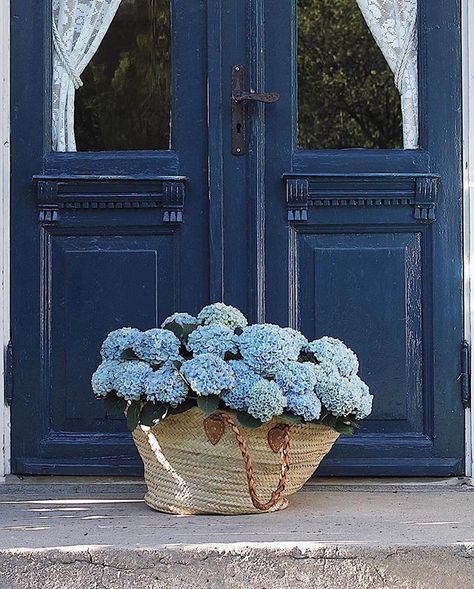 Imagine if a beautiful basket of blue hydrangeas landed at your door   Well it may be winter in Australia but in Norway the hydrangeas are blooming and have landed at the door of @ranli_   I head back to Europe Sunday night but sadly Norways not on my itinerary but its definitely on the bucket list.     #hydrangeas #hydrangealove #hydrangeasaremyfavourite #hydrangealanehome #hydrangea #hydrangeagarden #hydrangeaseason #bluehydrangea #bluedoor #bluedoors #navyblue #marketbasket #strawbasket #trav Hydrangea Cottage, East Coast Summer, Coastal Granddaughter, Coastal Grandmother, Blue Door, Blue Hydrangea, Feeling Blue, Summer 24, My New Room