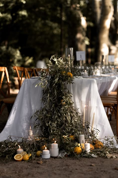 One long wedding dining table on a tree lined path and fairy lights to frame the setting. Olive branches, citrus fruit and candles as decor to set the mood as the sun set in the sky. M&M wedding Aix en Provence 2023. Olive Leaf Centerpiece Wedding, Olive Branch Wedding Decorations Table Settings, Olive Tree Wedding Table Decoration, Wedding Arch Olive Branch, Lemon Olive Wedding Table, Olive Branch Centerpiece, Wedding Table Olive Branch, Olive Leaf Table Garland, Olive Leaves Table Runner