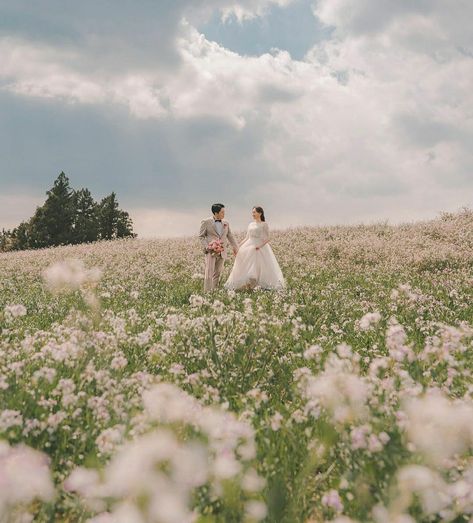 Korean Prenup Photoshoot Ideas Garden, Flower Field Aesthetic Photoshoot, Garden Prewedding, Korean Prewedding Photography, Pre Wedding Photoshoot Theme, Prenuptial Photoshoot, Wedding Illustration Card, Korean Wedding Photography, Wedding Photo Studio