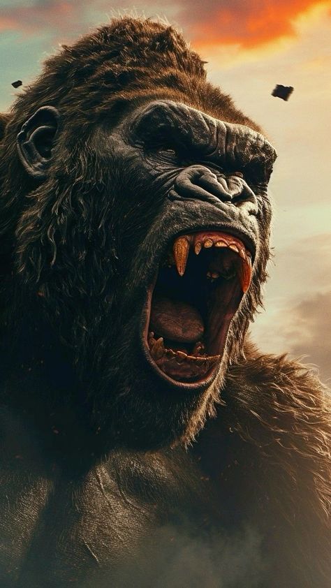 Hi Friends Some Surprise able Thing is waiting for you 
For Historical Adventure Click on the given Below Link
Thanks. King Kong Wallpaper, Kong Wallpaper, Gorilla Wallpaper, King Kong Skull Island, King Kong Movie, Most Dangerous Animals, King Kong Art, King Kong Vs Godzilla, Gorilla Tattoo