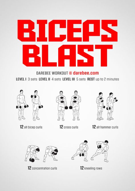 Biceps Workout Dumbbell Men, How To Get Big Biceps At Home, Bicep Calisthenics Workout, Biceps Workout For Men At Home, Most Effective Bicep Workout, Grow Biceps Fast, Arm Workout Men Dumbell, Dumbell Workout For Men Biceps, At Home Arm Workout Dumbells