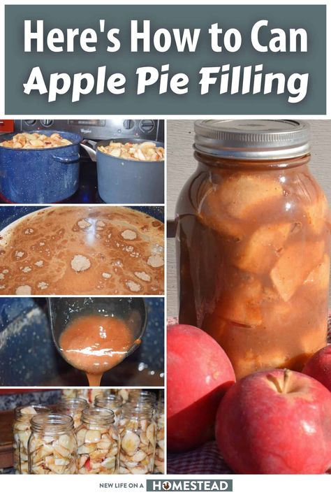 Canning your own apple pie filling is super easy and useful for lots of recipes you could be making. Here's how to do it. #canning #applepie #applepiefilling #filling Apple Pie Filling Water Bath Canning, Water Bath Apple Pie Filling, Canning Apple Pie Filling Water Bath, Canning Apple Pie Filling Recipe, Apple Canning, Can Apple Pie Filling, Canned Recipes, Fruit Rollups, Fall Canning