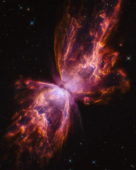 Butterfly Nebula, Nebula Wallpaper, Astronomy Pictures, Star Wars Background, Aesthetic Galaxy, Space Phone Wallpaper, Super Nova, Space Photography, Nebulas