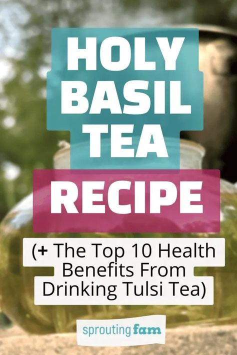 Holy Basil Tea Recipe (aka Tulsi Leaves) Holy Basil Recipes, Holy Basil Tea Benefits, Basil Tea Benefits, Basil Tea Recipe, Tulsi Tea Benefits, Peppermint Tea Recipe, Holy Basil Benefits, Herbs For Tea, Holistic Herbs