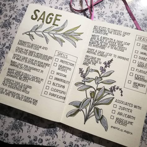 World of Magick on Instagram: “Sage brings good luck and promotes emotional strength. It is associated with wisdom, protection and offers guidance when making decisions 🤔…” Grimoire Ideas, Green Witchcraft, Magia Das Ervas, Plant Journal, Spiritual Journals, Grimoire Book, Wiccan Spell Book, Spell Books, Witchcraft Spell Books