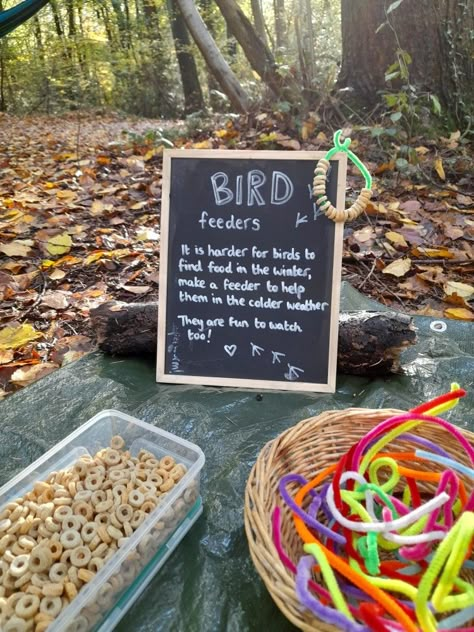 Curiosity Approach Invitations To Play, Eyfs Nature Activities, Childcare Garden Ideas, Eyfs Outdoor Activities Ideas, Simple Forest School Activities, Eyfs Outside Provision, Indoor Forest School Activities, School Gardening Club Ideas, Forest School Sensory Activities