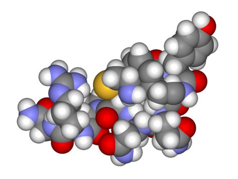 This is a space filled model of the chemical structure of vasopressin. Lithium Toxicity, Rare Disorders, Physical Chemistry, Pituitary Gland, Chemical Structure, Blood Glucose Levels, Autoimmune Disorder, Water Conservation, Biology