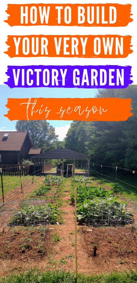 Victory Garden Plans, Types Of Gardens, Victory Gardens, World Wars, Victory Garden, Troubled Times, Growing Fruit, Soil Improvement, Front Yard Garden