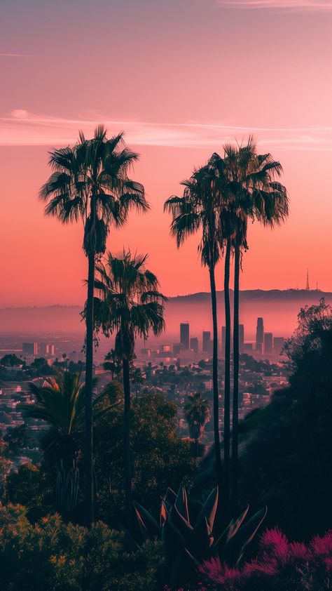 Wallpaper Backgrounds Jungle, California Lockscreen, 2016 Wallpaper Iphone, La Wallpaper Los Angeles Wallpapers, La Aesthetic Wallpaper, Best Iphone Wallpapers Lockscreen, California Aesthetic Wallpaper, California Vibes Aesthetic, La Wallpaper