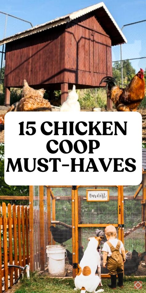 Keep your chicken coop safe, functional, and cute with these 15 must-have items! Each essential—like dust baths, secure latches, and feeders—supports a happy, healthy flock. Save this pin for easy-to-follow tips on building the ideal backyard coop for your chickens. Double Decker Chicken Coop, Dollhouse Chicken Coop, Starting A Chicken Coop, Modern Chicken Coop Design, Fancy Chicken Coop Interiors, Chicken Coop Inside Ideas, Chicken Coop Inside Barn, Chicken Coop Must Haves, Chicken Coop Garden Combo