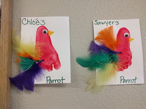 Footprint parrots. Bird theme Handprint Bird, Bird Theme Classroom, Toucan Craft, Theme Classroom Ideas, Bird Crafts Preschool, Rainforest Crafts, Parrot Craft, Infant Crafts, Jungle Crafts