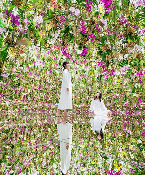 teamLab expands tokyo digital museum with immersive garden Tea Ceremony Japan, Teamlab Planets, Interactive Artwork, Tokyo Subway, Store Entrance, Tokyo Museum, Large Scale Artwork, 100 Things To Do, Digital Museum