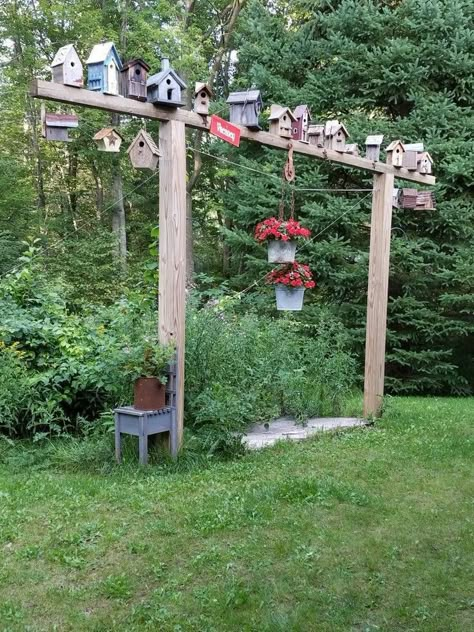 Bird Feeders In Garden, Bird Sanctuary Ideas Backyards Gardens, Bird Sanctuary Ideas Backyards, Birdhouses In The Garden, Bird Feeder Station Ideas, Bird Feeder Station, Backyard Birds Sanctuary, Bird Feeding Station, Bird Houses Ideas Diy