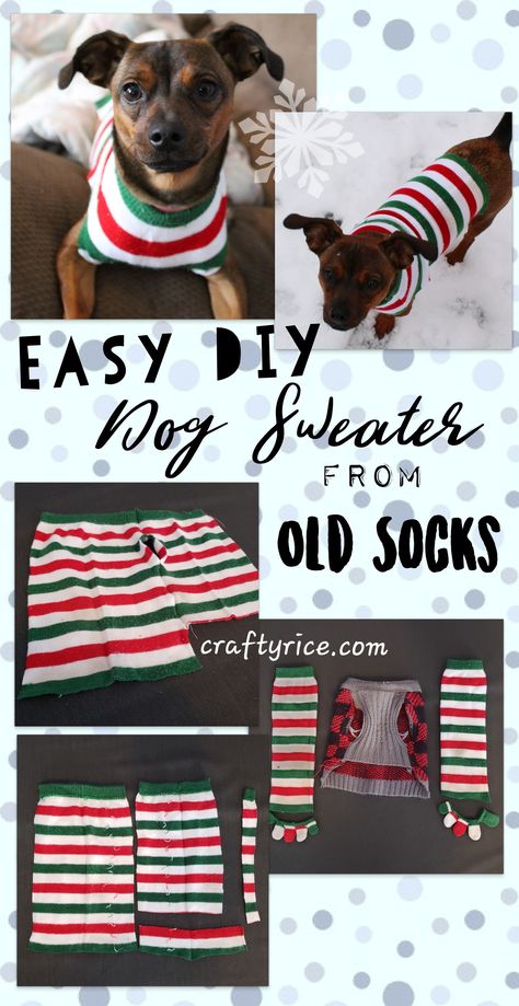 Follow this step-by-step tutorial to create a sweater for your pup from socks collecting dust in the closet. Keywords: Dog, DIY, clothes, Dog clothes, sewing Small Dog Clothes Patterns Free, Diy Dog Clothes From Old Shirt, How To Make Dog Clothes, Diy Pet Clothes, Dog Accessories Diy, Diy Dog Sweater, Dog Outfits, Dog Sweater Pattern, Small Dog Sweaters