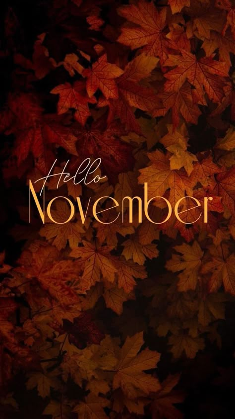 Hello Novembre, Hallo November, November Images, Neuer Monat, November Quotes, November Wallpaper, Happy November, Hello November, Thanksgiving Wallpaper