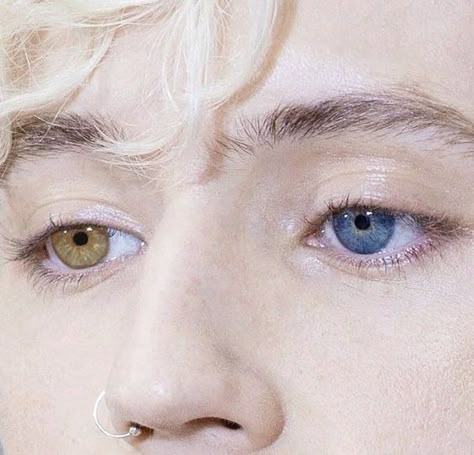 Heterochromia Eyes, Julian Blackthorn, 얼굴 드로잉, Dark Artifices, Photographie Portrait Inspiration, The Dark Artifices, Troye Sivan, Aesthetic Eyes, Jolie Photo