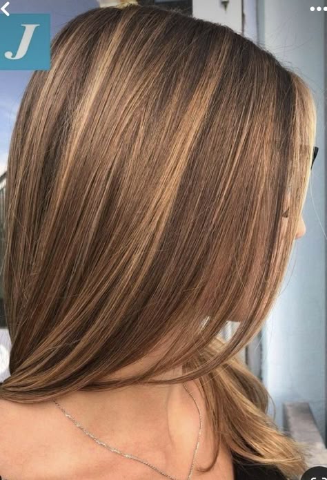 Rambut Brunette, Honey Brown Hair, Hair Color Caramel, Brown Hair Dye, Brunette Hair With Highlights, Brown Hair With Blonde Highlights, Caramel Hair, Honey Blonde Hair, Caramel Highlights