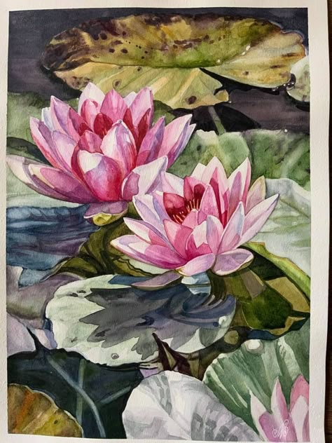 Water Lily Watercolour Painting, Waterlily Watercolor Painting, Paint Lotus Flower, Bild Gold, Water Lilies Art, Lilies Drawing, Water Lilies Painting, Watercolor Lotus, Pond Painting