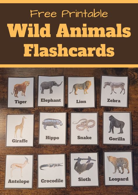 Pin text reads, free printable wild animals flashcards and image shows them. Jungle Animal Flashcards Printable Free, Wild Animal Art Preschool, Animal Activities Preschool, Zoo Animals Flashcards, Safari Sensory Bin, Wild Animals Flashcards, Animal Preschool Activities, Safari Animals Printables, Animal Activities For Toddlers