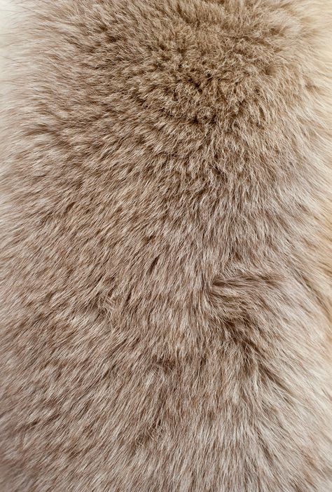 Fur texture Photo | Premium Download Texture Download, Fur Texture, Texture Inspiration, Texture Photography, Fabric Textures, Material Textures, Fur Fabrics, Materials And Textures, Beige Aesthetic