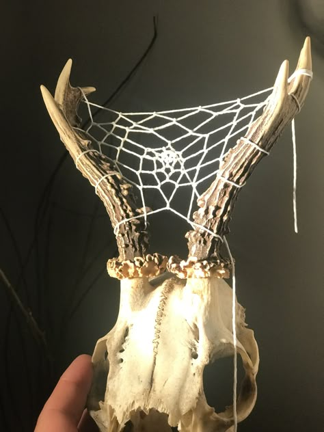 Insect Taxidermy Art, Art With Bones, Bone Witch, Real Bone Jewelry, Animal Skull Decor, Animal Bone Jewelry, Oddities Decor, Animal Skeletons, Dream Catcher Craft