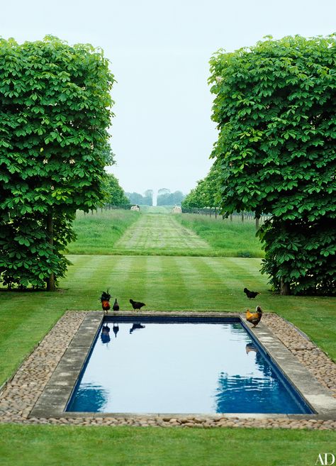 Estate of David Hicks Pool On Farm, New England Swimming Pools, Pool On A Farm, Pool English Garden, Pool On Golf Course, Country Pool, Public Swimming Pool Architecture, Water Feature, Moderne Pools