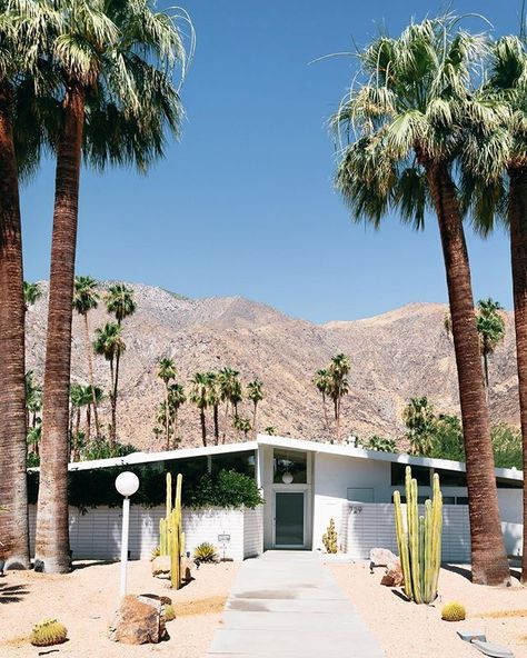 Palm Springs Architecture Palm Springs Exterior Home, Palm Springs Exterior, Palm Springs Style Home, Palm Springs Landscaping, Palm Springs Homes, Mid Century Palm Springs, Mid Century Landscape, Palm Springs Houses, Palm Springs Mid Century Modern