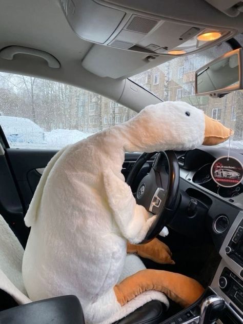 Diy Interior Car Cleaner, Duck Teddy Bear, Goose Stuffed Animal, Duck Teddy, Interior Car Cleaner, Duck Pictures, Cute Squishies, Car Cleaner, Cute Plushies