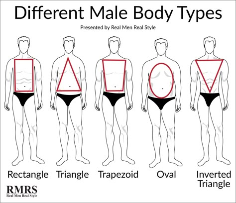 Ground Rules For Dressing To Your Body Type Body Types Chart, Body Shape Chart, Male Body Shapes, Male Body Types, Mens Body Types, Body Shape Guide, Dress For Body Shape, Types Of Body Shapes, Dress Body Type