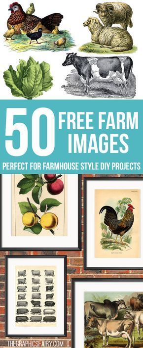 50 Free Farm Images for Farmhouse Style DIY Projects! - So many lovely vintage images and Printables to use in crafts and DIY decor! #farmhouse #printables #farmhousedecor #diyhomedecor Do It Yourself Decoration, Farmhouse Printables, Farm Images, Vintage Clipart, Dekor Diy, Crafts And Diy, Graphics Fairy, Ideas Vintage, Free Poster