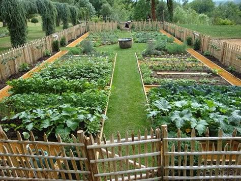 My dream garden. Of course the beds need to be raised. 😂 Plantarea Legumelor, Different Types Of Plants, Potager Garden, Permaculture Design, Backyard Vegetable Gardens, Garden Design Layout, Veg Garden, Have Inspiration, Home Vegetable Garden