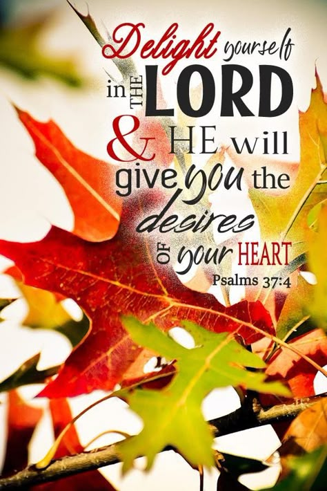 Happy Thanksgiving Blessings, Thanksgiving Prayers For Family, Nahum 1 7, Fall Bible Verses, God In My Life, Fullness Of Joy, Psalm Scriptures, Family Mission, Inspirational Quotes Encouragement