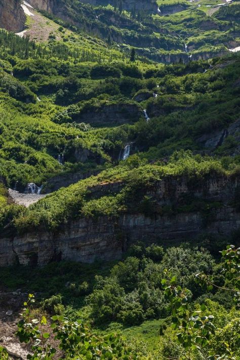 Did you know that Mount Timpanogos reaches 11,752 feet and showcases Utah's natural beauty? Visible from Provo, Orem, Pleasant Grove, American Fork, and Lehi, this mountain's eastern upper bowl keeps ancient glacier remnants even in summer. Explore its significance and the geological wonders it holds. Check our website to learn more- www.utahguide.com/utah-mountains #HikingAdventure #mttimpanogos #Timpanogos #GetOutside #timpanogos #mounttimpanogos #timpooneketrail Mount Timpanogos, Utah Mountains, Pleasant Grove, Get Outside, In Summer, Geology, Utah, Did You Know, Natural Beauty