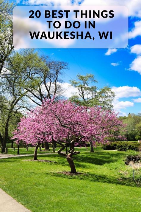 Discover the 20 best things to do in Waukesha, WI. Including Fox River Park, Waukesha County Historical Society & Museum, Retzer Nature Center and more. Retzer Nature Center, Waukesha Wisconsin, Travel United States, Spring City, Wine House, Adventure Bucket List, River Park, Before Sunrise, Nature Center