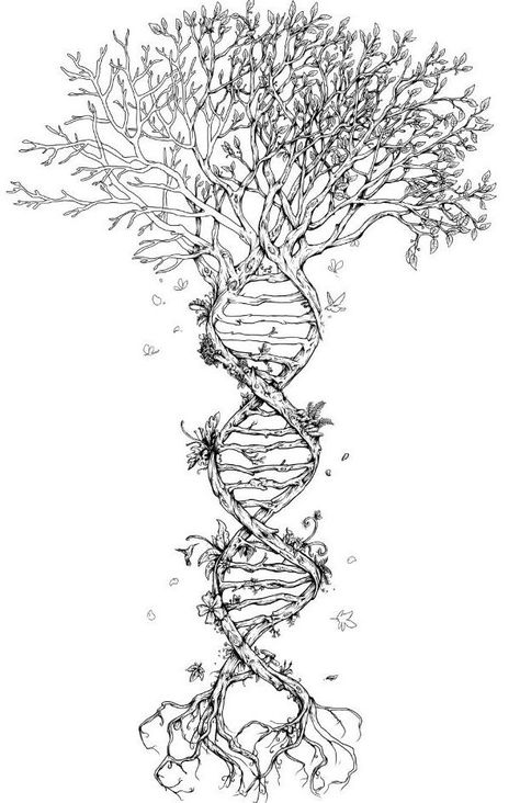 Affirmation Tattoos, Dna Tattoo, Gay Tattoo, Spiritual Tattoo, Religious Tattoos, Inspiration Tattoos, Tree Of Life Tattoo, Spiritual Tattoos, Tattoo Designs And Meanings