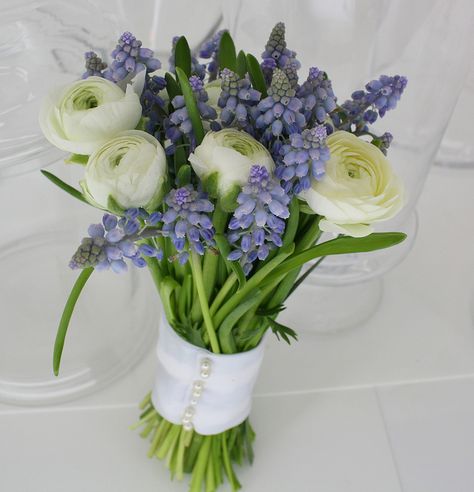 @Amanda Olsavsky, this is pretty.  White ranunculas and blue grape hyacinth. Spring Wedding Flower Arrangements, Hyacinth Bouquet, Unique Bridal Bouquets, Bridal Bouquet Spring, Wedding Flower Guide, Grape Hyacinth, Bridal Bouquet Blue, Simple Wedding Flowers, White Ranunculus