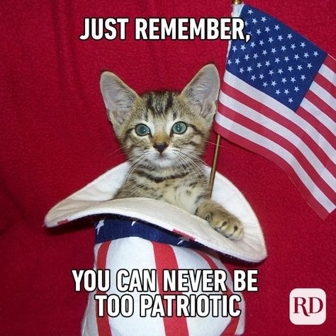 4th Of July Funny Pictures, Fourth Of July Meme, 4th Of July Songs, America Core, Usa Meme, American Meme, Gif Quotes, 4th Of July Images, America Funny