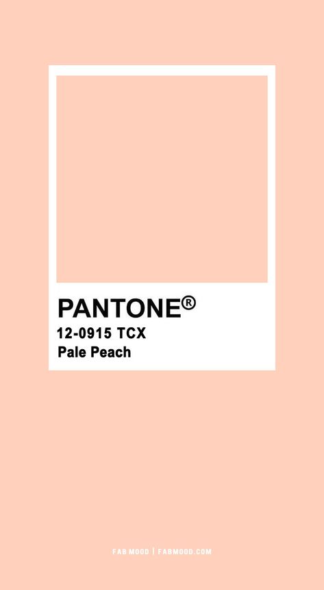 Garden Wedding In Soft Pink and Peach Colour Theme | fabmood Light Peach Color Palette, One Colour Background, Cute Colour Palette, Wedding Moodboard Inspiration, Peach Pantone, Peach Colour Palette, Peach Color Palette, Peach Color Palettes, Cottage Core Outfit