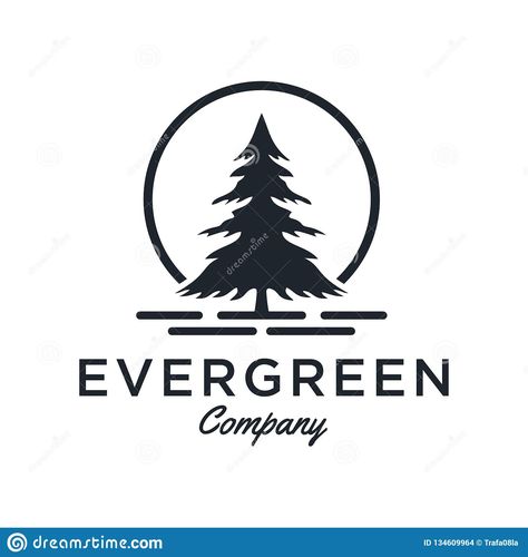 Evergreen logo Pine Tree Logo Design, Tree Logo Design Inspiration, Pine Tree Logo, Pine Logo, Yg Logo, Maple Logo, Wildlife Logo, Pine Tree Design, Winter Container Gardening