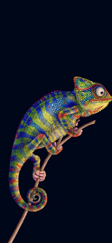 Chameleon Wallpaper, Chameleon Paint, Logo Youtube, Tela Iphone, Iphone Lockscreen Wallpaper, Blood Bowl, Paint Wallpaper, Iphone Lockscreen, Lockscreen Wallpaper