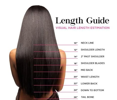 Hair Length Guide, Zbrush Hair, Hair Chart, Hair Extension Lengths, Waist Length Hair, Hair Length Chart, Fluffy Hair, Haircuts For Long Hair, Hair Density