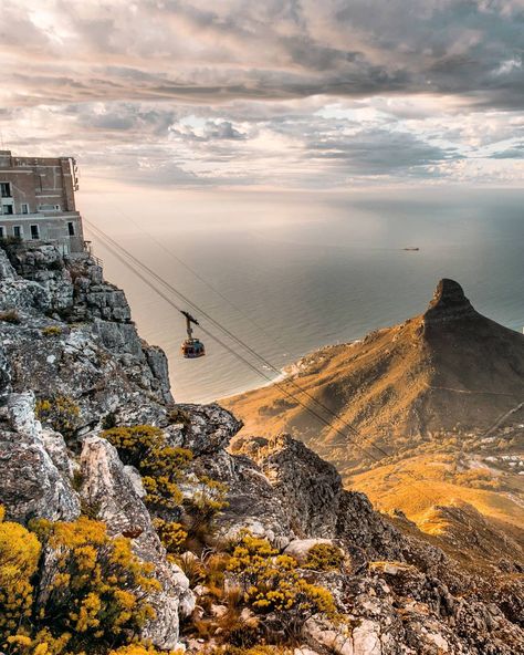 These magical views. Cape Town I miss you.  #sharynhodges #capetown #cityofcapetown #tablemountain #southafrica #thisissouthafrica #vscosouthafrica #southafricaza #artofvisuals #visualsoflife #aov #chasingemotions #iamnikonsa #LifeofAdventure #livefolk #thecreatorclass #main_vision #soft_vision #bleachmyfilm #ig_exquisite #visualscollective #heatercentral by sharynhodges Cape Town Photography, Table Mountain Cape Town, Fujifilm Xt20, Cape Town Travel, Africa Trip, Honey Moon, Table Mountain, Cape Town South Africa, Dream City